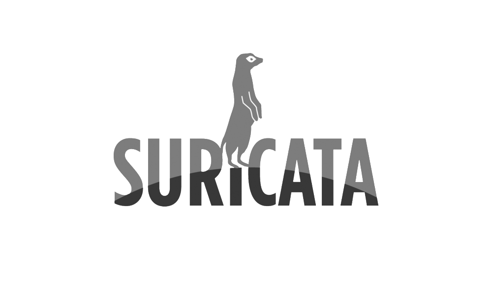 Gérer les règles sur Suricata